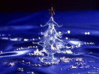 /album/christmas-pictures/a-1-jpg/